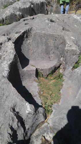 Quespehaura hauca Peru